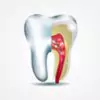 dental solutions